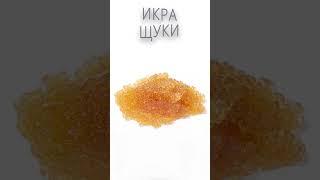 ИКРА ЩУКИ / Польза и Вред