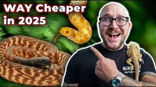 FINALLY These Snakes Will be WAY Cheaper in 2025