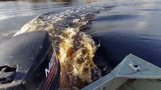 on patrol in the ace basin ashepoo river