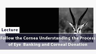 Follow the Cornea Understanding the Process of Eye  Banking and Corneal Donation