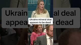 Karoline Leavitt discusses the Ukraine minerals deal Trump discussed with Zelenskyy