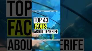 43 Amazing Tenerife Facts: Uncovering the Secrets of this Canary Island Jewel