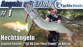 Spinnfischen auf Hecht mit den Savage Gear 4D Line Thru Trouts Sonderfarben von Tackle Deals