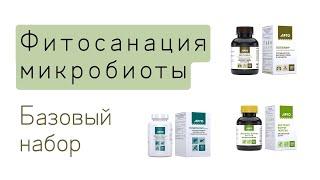 Фитосанация микробиоты | Нюансы базовой программы и подготовительной схемы применения фитопродукции.