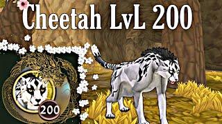 WildCraft || Reaching LvL 200 Cheetah