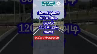 Plot for sale in Chengalpattu | Land for sale in Chengalpattu #shorts  #shortsfeed