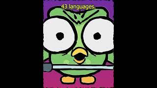 CHUCKLEBONE RERUN : DUOLINGO