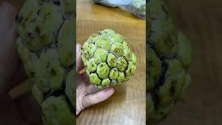 Cutting ripe custard apple