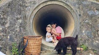 Abandoned and Searching: The Painful Road of a Girl and Her Infant Brother