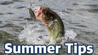 How to catch bass in the summer - In-depth fishing advice and lure choices