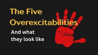 The Five Overexcitabilities (what do the five forms of intensity look like?)