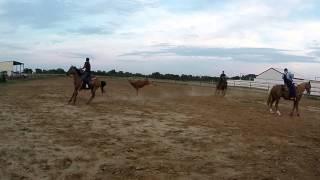 jorge team roping inola ok