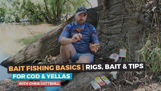 Murray Cod - Bait Fishing Basics | Rigs, Bait & Tips