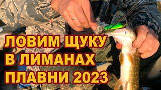 ЛОВИМ ЩУКУ В ЛИМАНАХ // Плавни 2023  /// Рыбалка на Кубани 2023 /// Выпуск № 36