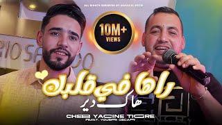 Yacine Tigre x Yousri - Raha Fi Galbek Hak Dir ( Official Music Video) | 2024 |