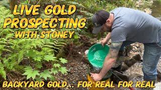 Part 4 of 4 - LIVE Gold Prospecting - Backyard Gold! #shorts #goldpanning #prospecting