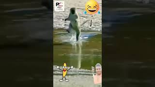 hanu gala deni deni# imaging #funny #dance #short video#