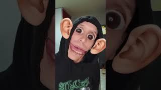 Marcial Layons videos divertidos. Chupapimuñaño. 