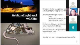 Bat Conservation and Light Pollution - How you can help.