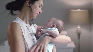 Bring Life into Your Home  - JELD-WEN Windows and Doors