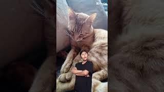 mi bebe