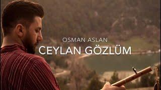 Ceylan Gözlüm | OSMAN ASLAN