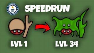 Swordz.io - Speedrun to level 34! [Max Level] 1.66m Score in 1:40!