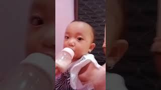 Minum susu #susu #shortsvideo #shorts #short #tiktok #funny #cute #fyp