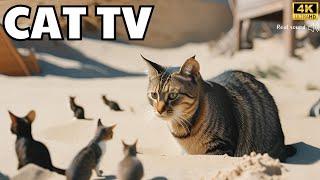 Cat TV for Cats to Watch| Adorable Mice Squabble and Squeak While Digging Burrow | 3Hrs | Cat games