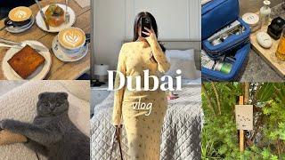 Dubai weekly vlog | cat-sitting | grocery shop | catch up with friends