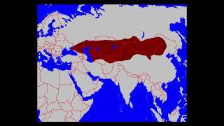 Тюркский каганат - первое государство тюрок