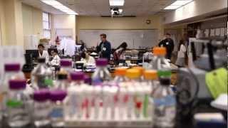 The Freshman Research Initiative (FRI)