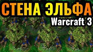 СТЕНА ОТ ТРОЛЛИНГА: Эльфийские башни против ИЗДЕВАТЕЛЬСТВА в Warcraft 3 Reforged