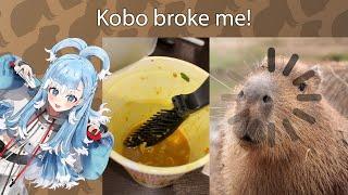 Kobo broke Capybara