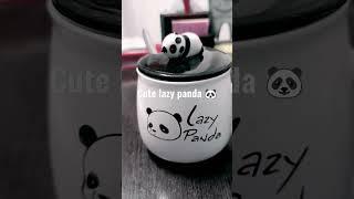 lazy panda! i'm a panda trapped in human body! are you one lazy panda,in love with panda accessories