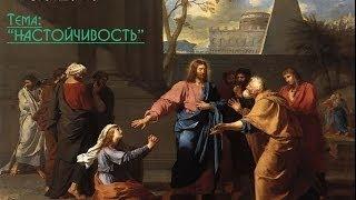 Дмитрий Шелудько - "Настойчивость"