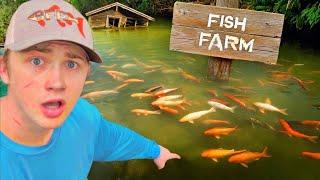 I Found an Abandoned Fish Farm!
