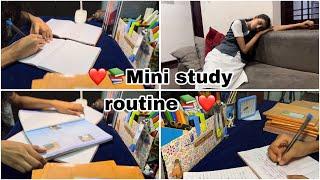 Mini Study Routine ️#studyvlog