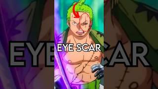 How Zoro got his Eye Scar | One Piece