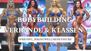 So findest du die für DICH richtige Klasse & Verband - Unterschiede IFBB & NPC