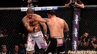 Minotauro Nogueira vs Brendan Schaub Highlights (Big Homecoming) #ufc
