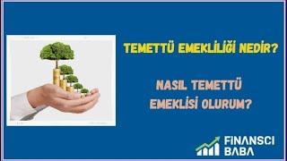 TEMETTÜ EMEKLİLİĞİ NEDİR   NASIL YAPABİLİRİM