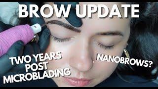 Microblading vs Tattoo Brows | Nano Brows - YEAR 2 BROW UPDATE