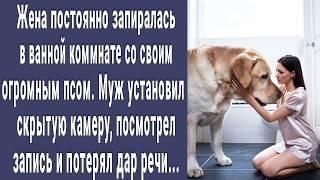 Жена постоянно запиралась в ванной комнате с огромным псом. Муж установил скрытую камеру и онемел...