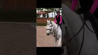Keep riding!  #equestrian #neverstopdreaming #keepriding #edit