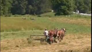 Nothing But the Blood of Jesus BUDDY DAVIS Music Video