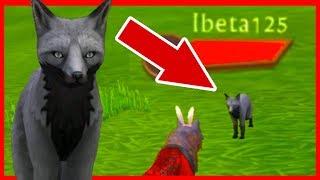 ВЫЗЫВАЕМ Ibeta125 в WILDCRAFT