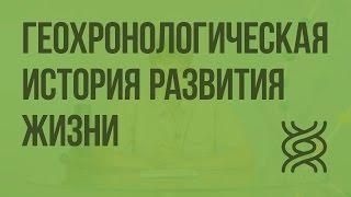 Геохронологическая история развития жизни. Видеоурок по биологии 11 класс