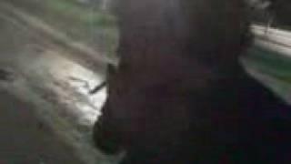 Big cola de hase 3 dias XD