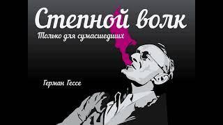 Степной волк | Герман Гессе | аудиокнига | Терновский Евгений